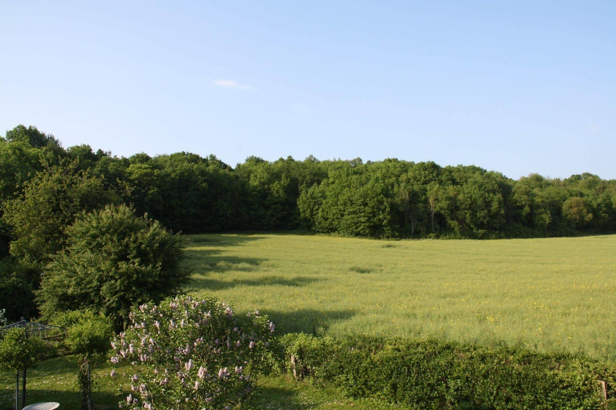 Bed and Breakfast La Raimbaudiere Guigneville-sur-Essonne Exterior foto