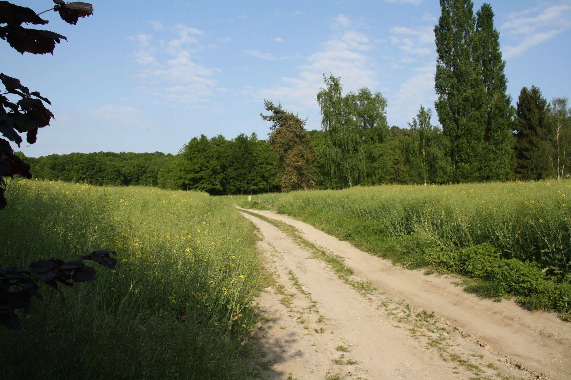 Bed and Breakfast La Raimbaudiere Guigneville-sur-Essonne Exterior foto